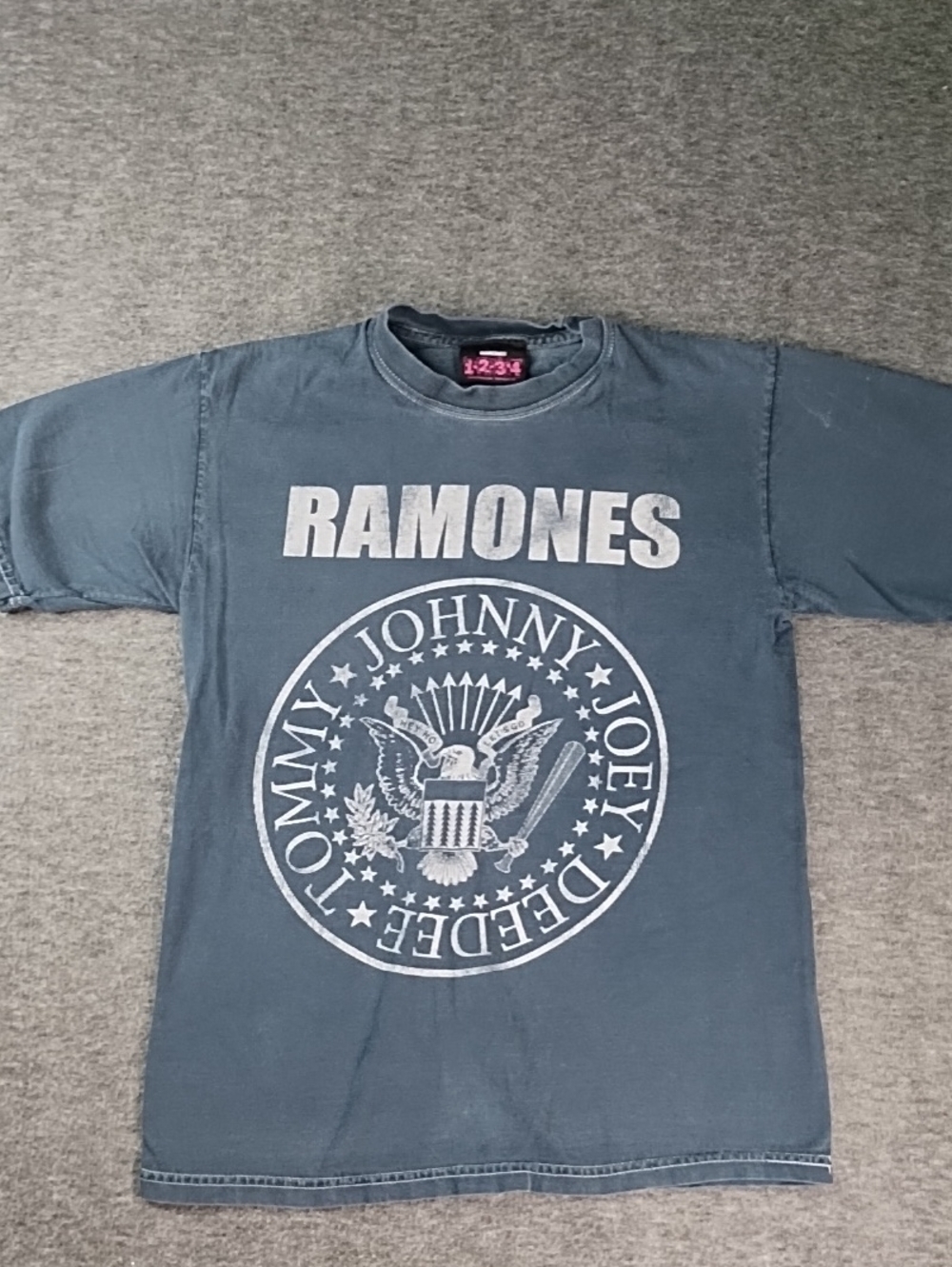 Ramones Short Sleeve Graphic Tee in Faded Blue